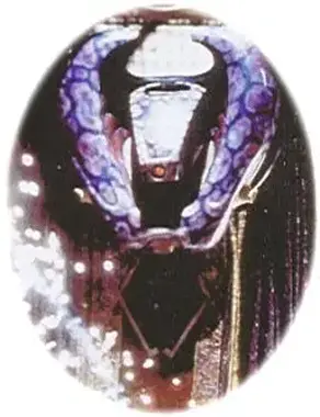 A Dark, Distorted Mirror. Volume 4. A Future, Born in Pain