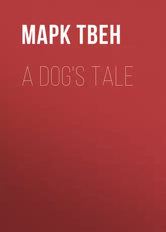A Dog's Tale