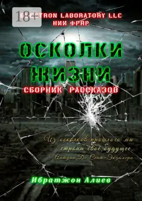Осколки жизни. Сборник рассказов