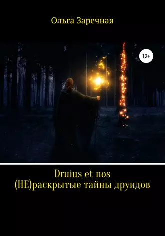 Druius et nos. (НЕ)раскрытые тайны друидов