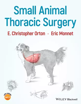 Small Animal Thoracic Surgery