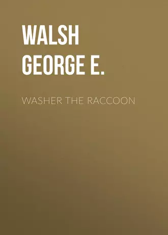 Washer the Raccoon