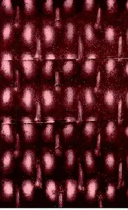 Соитие (Альманах эротической литературы)