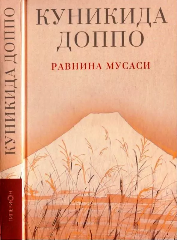 Равнина Мусаси