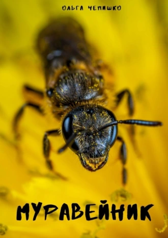 Муравейник