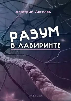 Разум в лабиринте