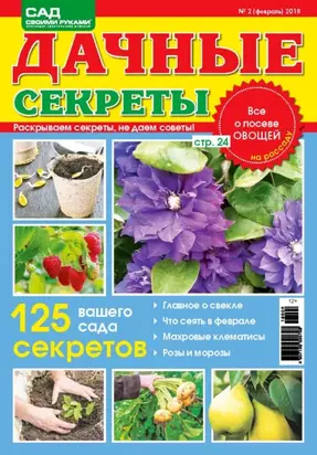 Загадочный мост