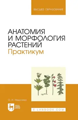 Анатомия и морфология растений. Практикум. Учебное пособие для вузов. 3-е издание, исправленное и дополненное