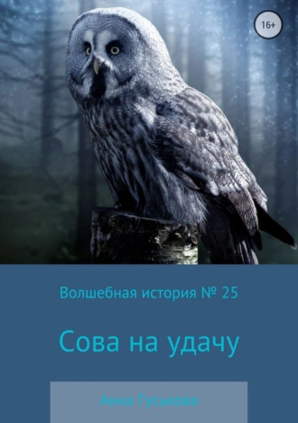 Волшебная история № 25. Сова на удачу