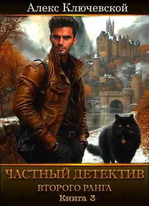Частный детектив второго ранга. Книга 3
