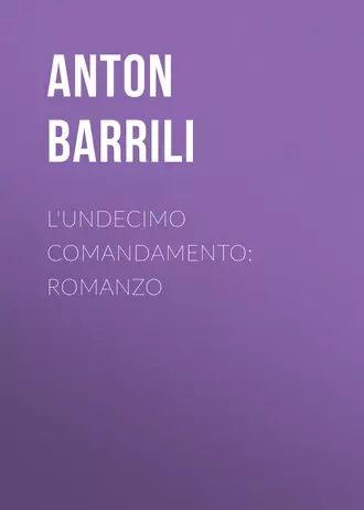 L'undecimo comandamento: Romanzo