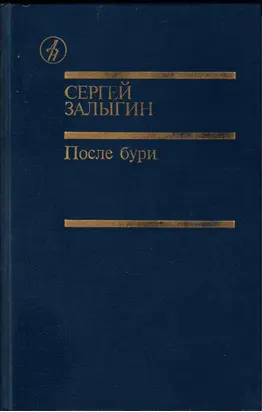 После бури. Книга первая