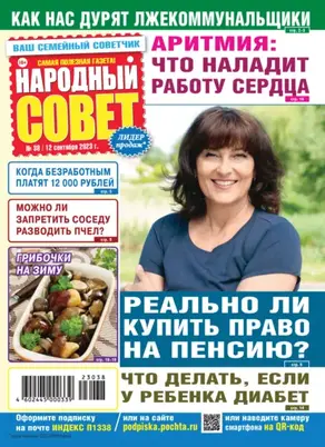 Народный совет №38/2023