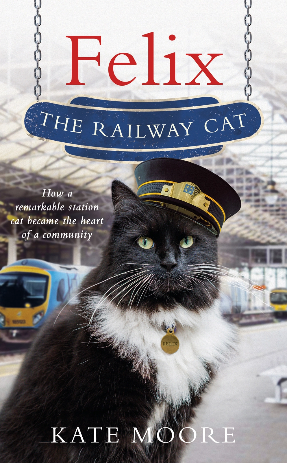Felix The Railway Cat