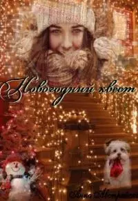 Новогодний квест [СИ]