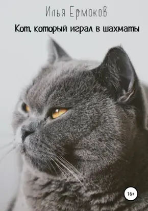 Кот, который играл в шахматы