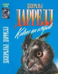 Ковчег на острове