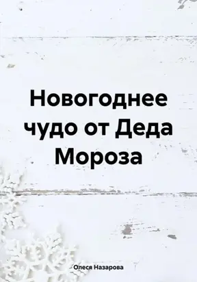 Новогоднее чудо от Деда Мороза