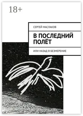В последний полёт. Или Назад в Безмерение