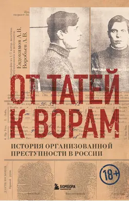 От татей к ворам. История организованной преступности в России [litres]