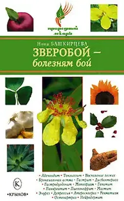 Зверобой – болезням бой