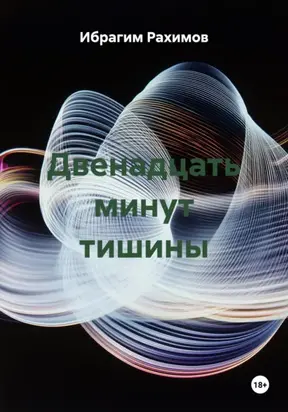 Двенадцать минут тишины