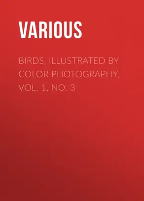 Birds, Illustrated by Color Photography, Vol. 1, No. 3