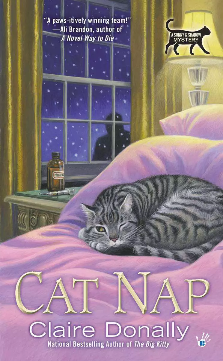 Cat Nap (A SUNNY & SHADOW MYSTERY)