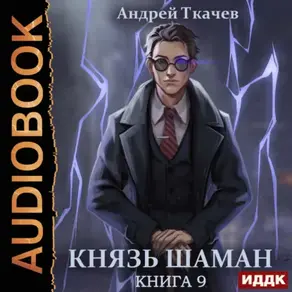 Князь шаман. Книга 9