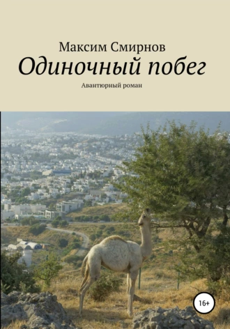 Одиночный побег