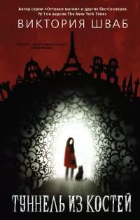 Туннель из костей [litres]