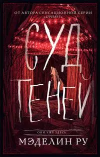 Суд теней [litres]