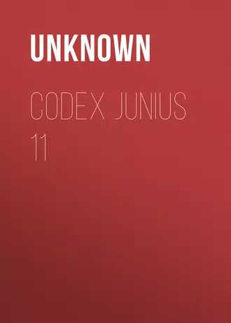 Codex Junius 11
