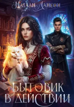 Бытовик в действии