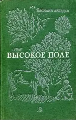 Высокое поле