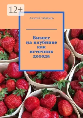Бизнес на клубнике как источник дохода