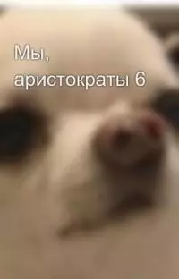 Мы, аристократы - 6