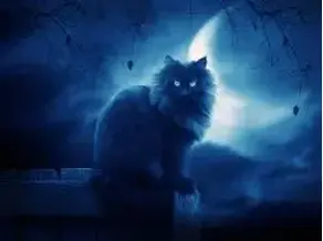 Найди меня в темноте (СИ)