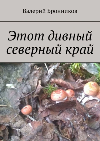 Этот дивный северный край