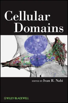 Cellular Domains