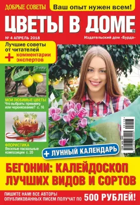 Ты и деньги