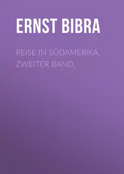 Reise in Südamerika. Zweiter Band.