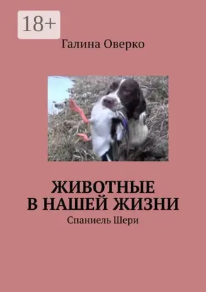 Животные в нашей жизни. Спаниель Шери