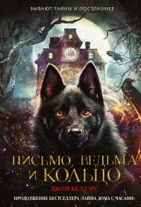 Письмо, ведьма и кольцо [litres]