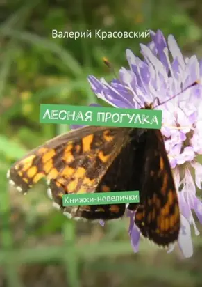 Лесная прогулка. Книжки-невелички