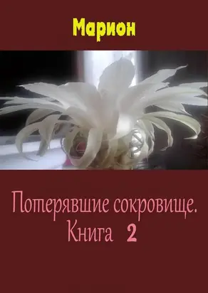 Потерявшие сокровище. Книга 2 [СИ]