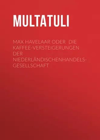 Max Havelaar oder Die Kaffee-Versteigerungen der NiederländischenHandels-Gesellschaft