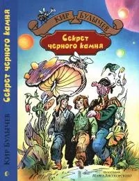 Секрет черного камня