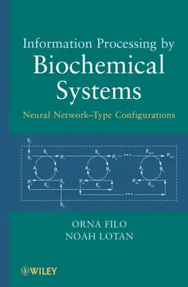 Information Processing by Biochemical Systems. Neural Network-Type Configurations