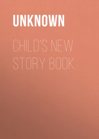 Child's New Story Book